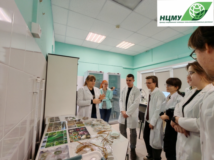 Итоги фестиваля «Наука 0+ Кубань»  фото 1